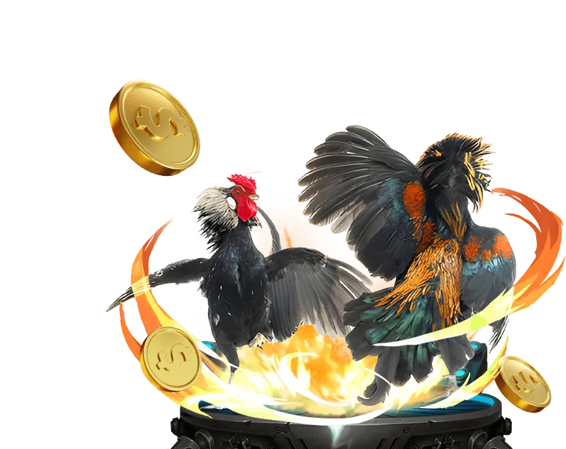 Giấy phép hoạt động hợp pháp bl555win